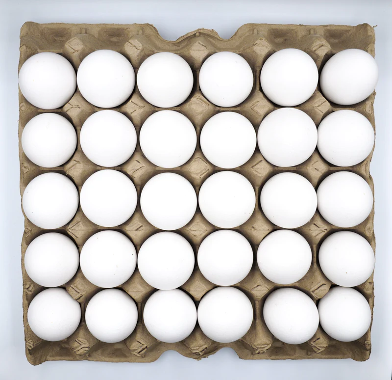 Tablette oeuf , Tawfeex Market, Tawfeex, ecommerce, senegal, market